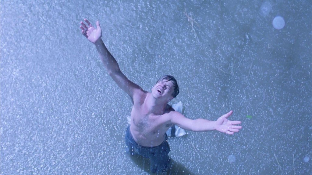The Shawshank Redemption ✅&nbsp;84