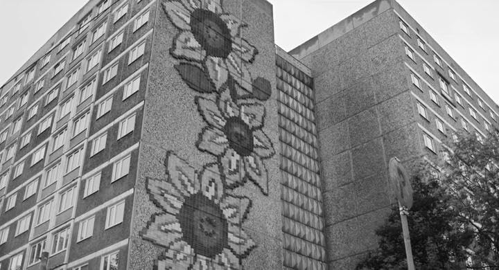 Wir sind Jung. Wir sind stark. ✅&nbsp;73