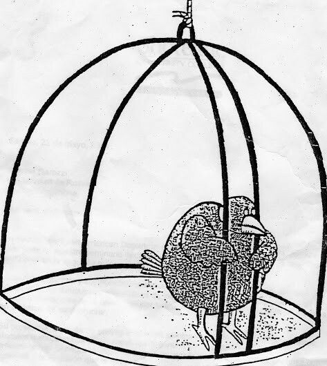 [CAGED UP]