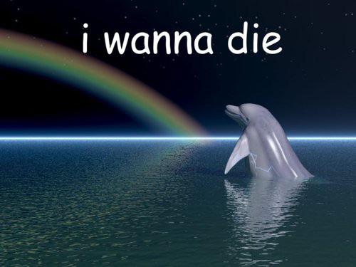 [EDGY ENOUGH]